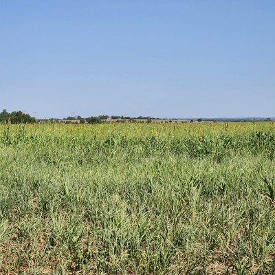 2022 Saline County Soil Health Award Winner