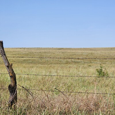 2022 District Grassland Award Winner