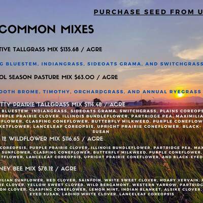Grass Seed For Sale
