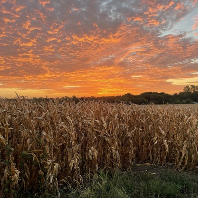 Sunrise in Brown County