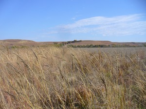 Geary County Conservation District