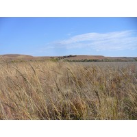 Geary County Conservation District