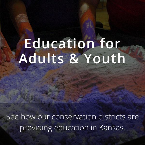 Education for Adults and Youth