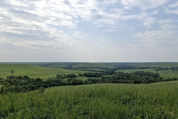 Your Land, Your Say: Quail and Pheasants on the Kansas Landscape