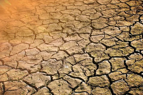 Kansas NRCS Reports on Historic Drought Conditions