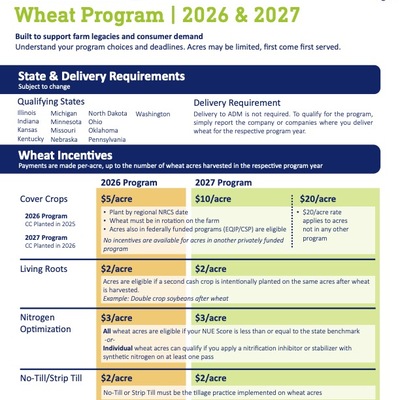 Regen Wheat 2627