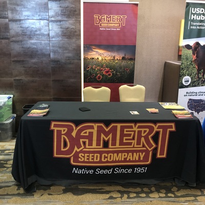 Bamert Seed