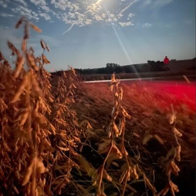 1st place Photo Nemaha Co