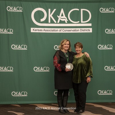 District Professional Award