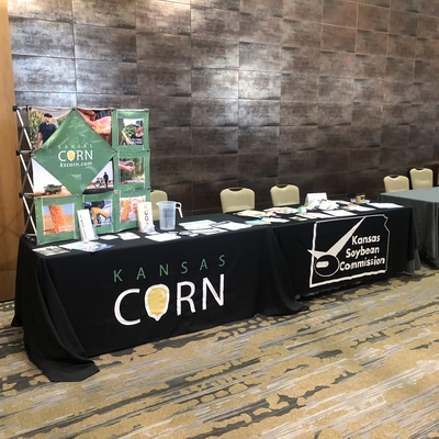 Corn Soy