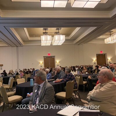 Convention Attendees