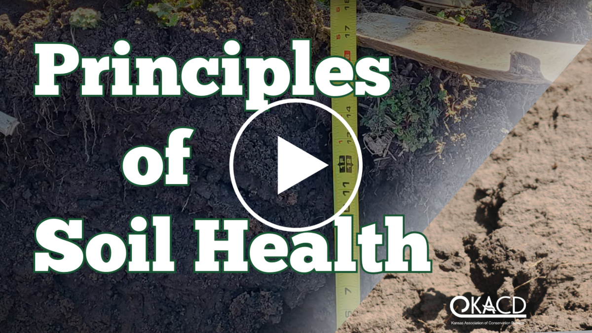 Principals of Soil Health Video